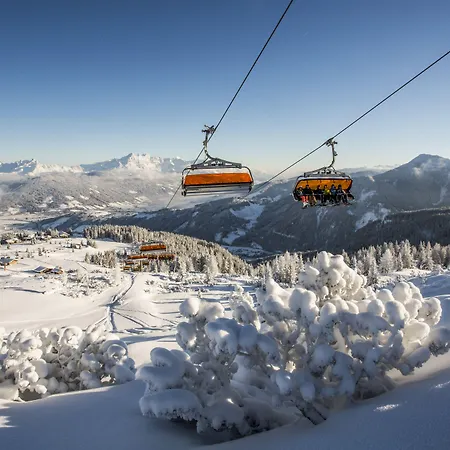 Almdorf - Luxus Huettenurlaub Flachau