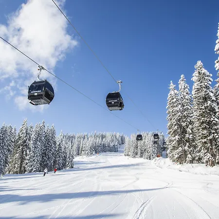 Almdorf - Luxus Huettenurlaub Chalet Flachau