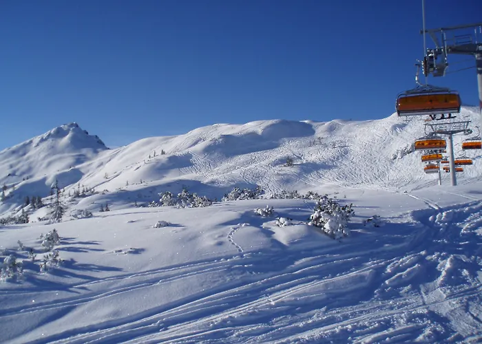 Almdorf - Luxus Huettenurlaub Alpehytte Flachau